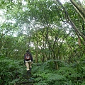 串空湖古道.九芎坑山 063