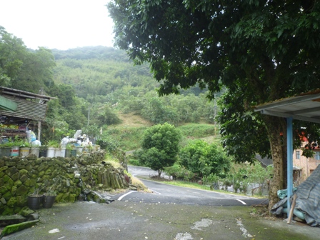 串空湖古道.九芎坑山 068