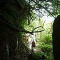 串空湖古道.九芎坑山 076