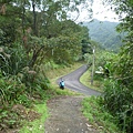 串空湖古道.九芎坑山 077