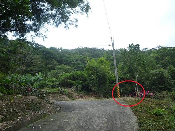 串空湖古道.九芎坑山 090