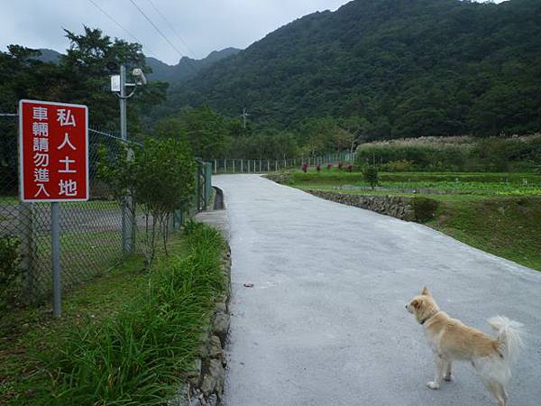 串空湖古道.九芎坑山 100