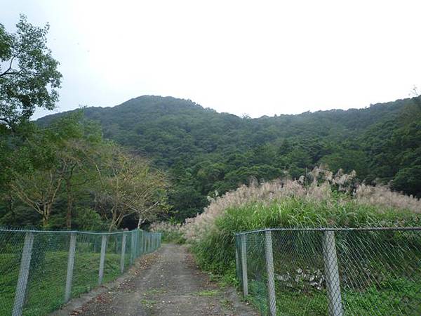 串空湖古道.九芎坑山 101