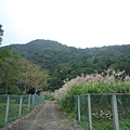 串空湖古道.九芎坑山 101