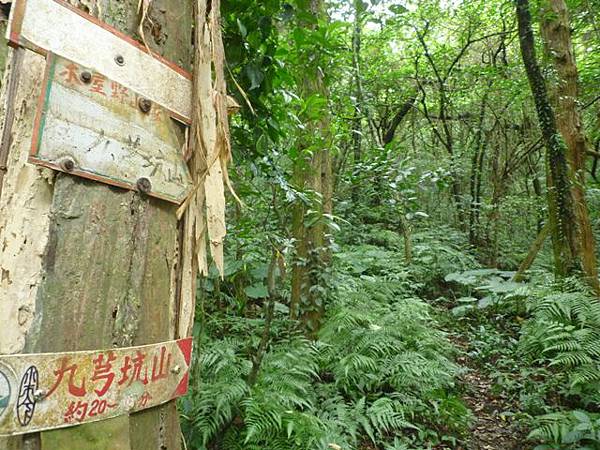 串空湖古道.九芎坑山 105
