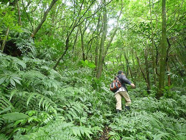 串空湖古道.九芎坑山 106