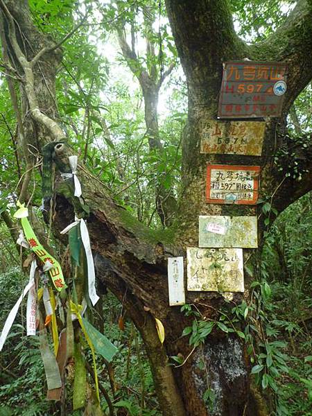 串空湖古道.九芎坑山 113