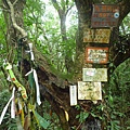 串空湖古道.九芎坑山 113