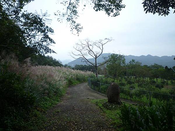 串空湖古道.九芎坑山 121