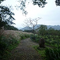 串空湖古道.九芎坑山 121