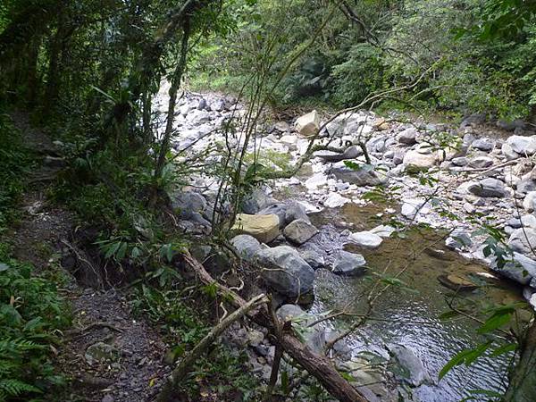 紅河谷越嶺古道熊空段.加九嶺 129