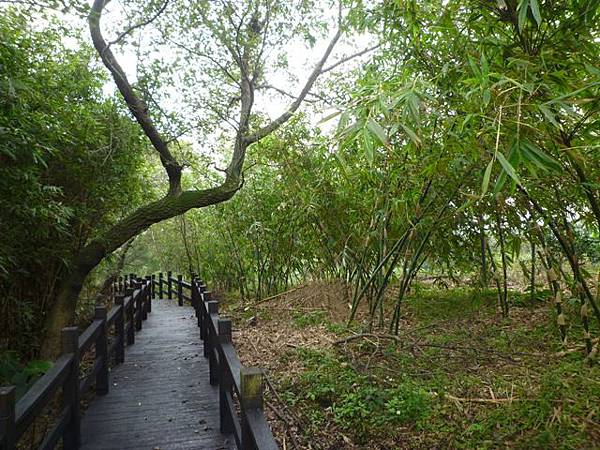 旗竿湖木棧道.五股坑山 024