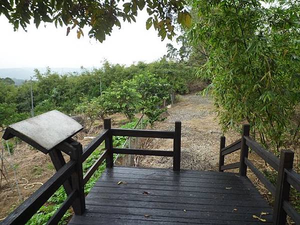旗竿湖木棧道.五股坑山 030