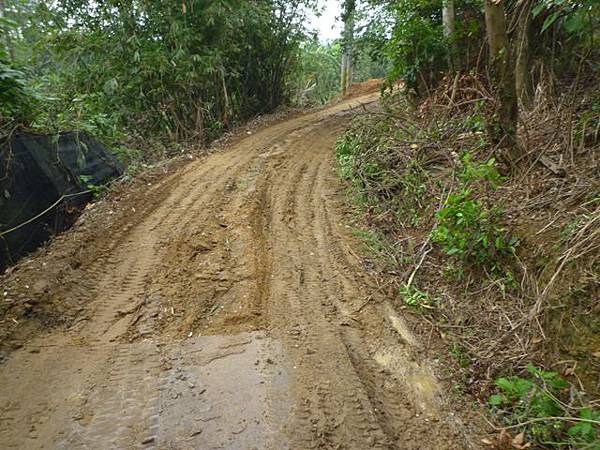 旗竿湖木棧道.五股坑山 037