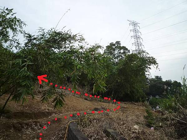 旗竿湖木棧道.五股坑山 067