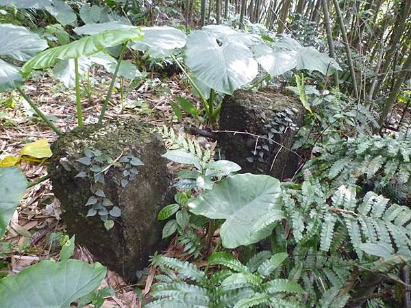 口吅品麻辣臭豆腐.熊空山.三峽大豹社忠魂碑 083