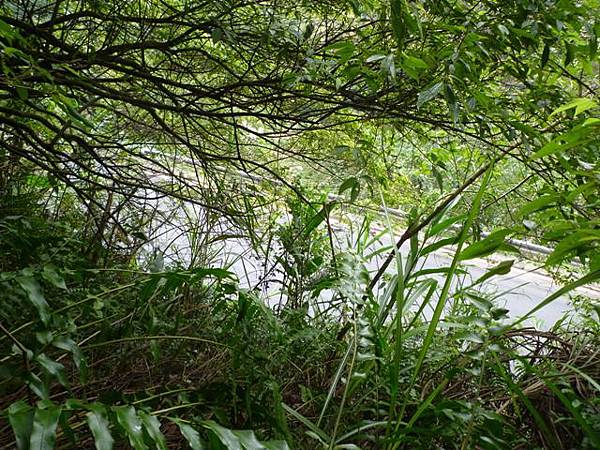 口吅品麻辣臭豆腐.熊空山.三峽大豹社忠魂碑 104