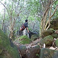 蘇厝山未遇.鳶山.鳶尾山.福德坑山.福德坑山東峰 085