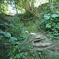 蘇厝山未遇.鳶山.鳶尾山.福德坑山.福德坑山東峰 086