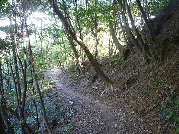 蘇厝山未遇.鳶山.鳶尾山.福德坑山.福德坑山東峰 117