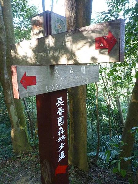 蘇厝山未遇.鳶山.鳶尾山.福德坑山.福德坑山東峰 139