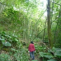 東嶺頂山.新朝嶺山 046