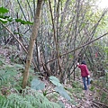 東嶺頂山.新朝嶺山 058