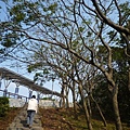 虎頭山.虎頭山南峰.桃園忠烈祠.水汴頭山.陳厝坑山 016