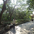 虎頭山.虎頭山南峰.桃園忠烈祠.水汴頭山.陳厝坑山 029