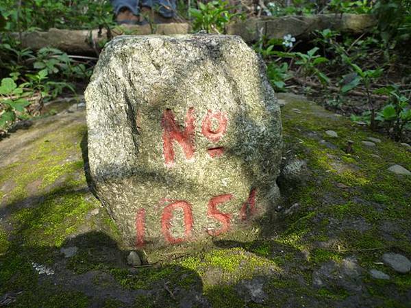 虎頭山.虎頭山南峰.桃園忠烈祠.水汴頭山.陳厝坑山 126