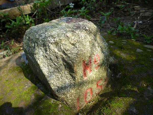 虎頭山.虎頭山南峰.桃園忠烈祠.水汴頭山.陳厝坑山 127