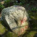 虎頭山.虎頭山南峰.桃園忠烈祠.水汴頭山.陳厝坑山 127