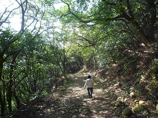 虎頭山.虎頭山南峰.桃園忠烈祠.水汴頭山.陳厝坑山 139