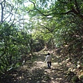 虎頭山.虎頭山南峰.桃園忠烈祠.水汴頭山.陳厝坑山 139