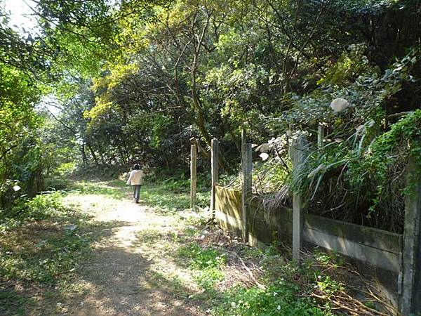 虎頭山.虎頭山南峰.桃園忠烈祠.水汴頭山.陳厝坑山 140