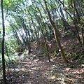 虎頭山.虎頭山南峰.桃園忠烈祠.水汴頭山.陳厝坑山 143