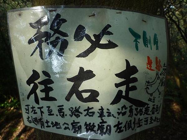 虎頭山.虎頭山南峰.桃園忠烈祠.水汴頭山.陳厝坑山 147