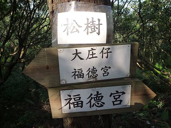 虎頭山.虎頭山南峰.桃園忠烈祠.水汴頭山.陳厝坑山 148