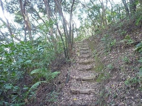 虎頭山.虎頭山南峰.桃園忠烈祠.水汴頭山.陳厝坑山 150