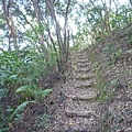 虎頭山.虎頭山南峰.桃園忠烈祠.水汴頭山.陳厝坑山 150