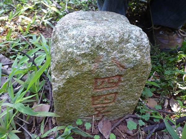 虎頭山.虎頭山南峰.桃園忠烈祠.水汴頭山.陳厝坑山 169