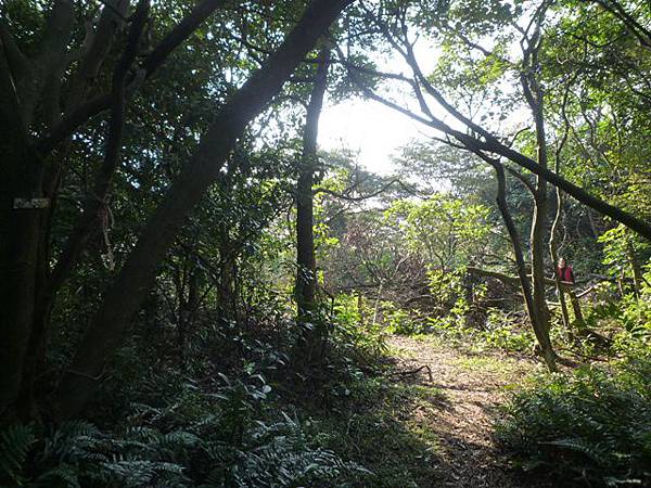 虎頭山.虎頭山南峰.桃園忠烈祠.水汴頭山.陳厝坑山 173