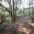 虎頭山.虎頭山南峰.桃園忠烈祠.水汴頭山.陳厝坑山 211