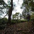 蘇厝山.王公坑山 078