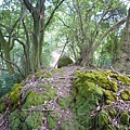 蘇厝山.王公坑山 081