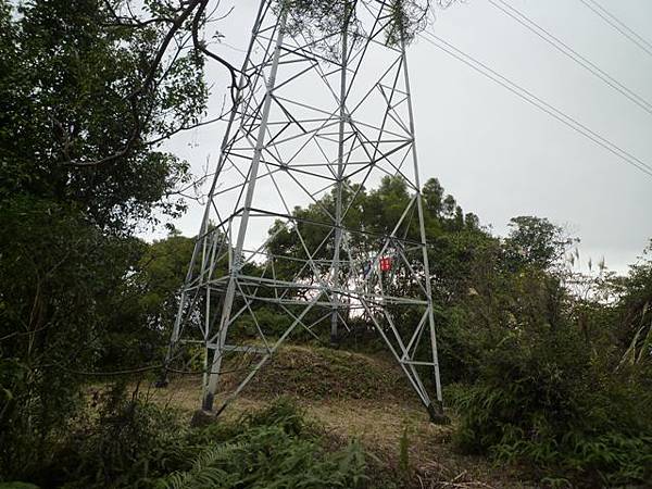 蘇厝山.王公坑山 087
