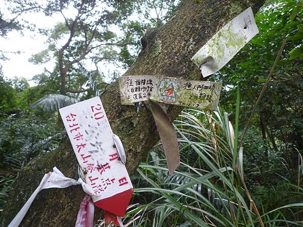 蘇厝山.王公坑山 121