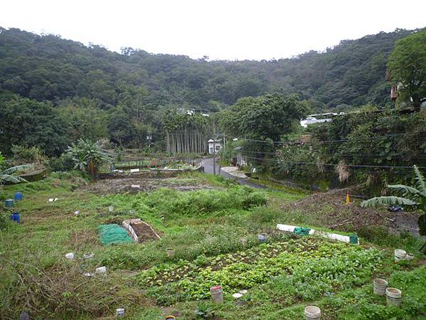 小坑山.磺窟石砌百年土地公廟.礦窟聚落 036