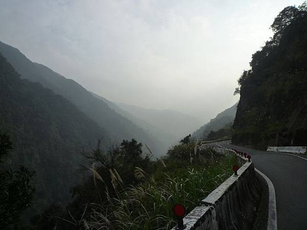 平菁街42巷櫻花.大坪尾山.尾崙山.大石閣小水準點.烏來福山櫻花.猴洞尖.鹿鵠崙 250