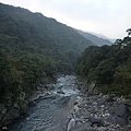 平菁街42巷櫻花.大坪尾山.尾崙山.大石閣小水準點.烏來福山櫻花.猴洞尖.鹿鵠崙 284